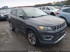 3C4NJDCB1LT137995 2020 JEEP COMPASS