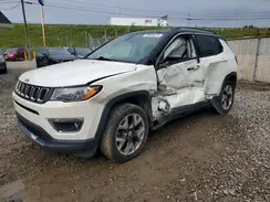 3C4NJDCB1LT168230 2020 JEEP COMPASS