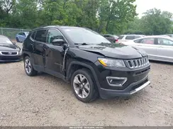 3C4NJDCB1LT233447 2020 JEEP COMPASS