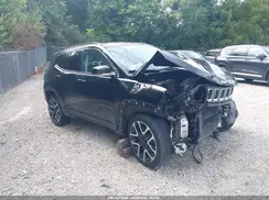 3C4NJDCB2KT601214 2019 JEEP COMPASS