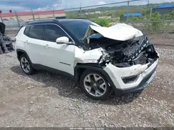 3C4NJDCB2KT704231 2019 JEEP COMPASS