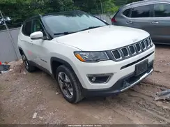 3C4NJDCB2KT772934 2019 JEEP COMPASS