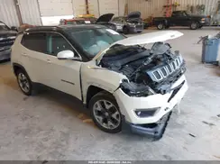 3C4NJDCB2LT101295 2020 JEEP COMPASS