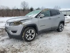 3C4NJDCB2LT116962 2020 JEEP COMPASS
