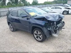 3C4NJDCB2LT137259 2020 JEEP COMPASS