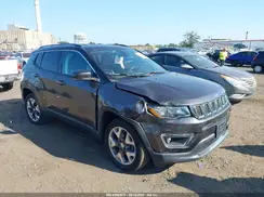 3C4NJDCB2LT138007 2020 JEEP COMPASS