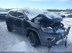 3C4NJDCB2LT154269 2020 JEEP COMPASS