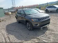 3C4NJDCB2LT166597 2020 JEEP COMPASS