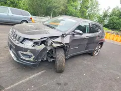 3C4NJDCB2MT572672 2021 JEEP COMPASS