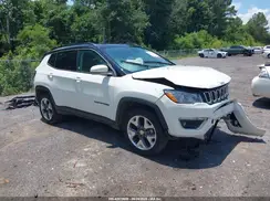 3C4NJDCB2MT603726 2021 JEEP COMPASS