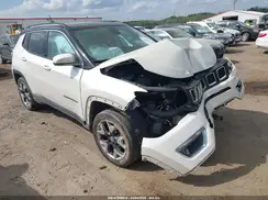 3C4NJDCB3KT594368 2019 JEEP COMPASS