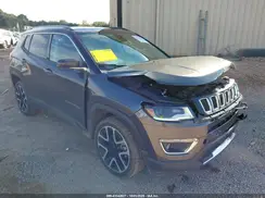 3C4NJDCB3KT601366 2019 JEEP COMPASS