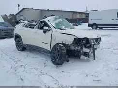 3C4NJDCB3KT729333 2019 JEEP COMPASS