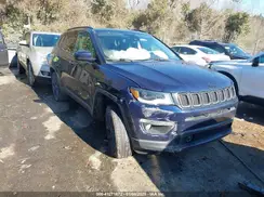 3C4NJDCB3KT750232 2019 JEEP COMPASS