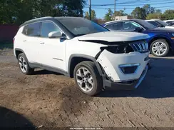 3C4NJDCB3KT842781 2019 JEEP COMPASS