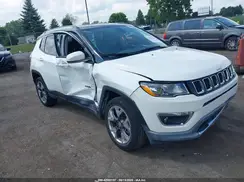3C4NJDCB3LT160839 2020 JEEP COMPASS