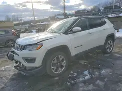 3C4NJDCB3LT204063 2020 JEEP COMPASS
