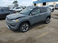3C4NJDCB3LT216231 2020 JEEP COMPASS
