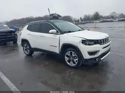 3C4NJDCB3LT233689 2020 JEEP COMPASS
