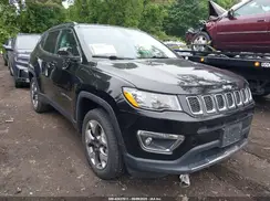 3C4NJDCB4LT155374 2020 JEEP COMPASS