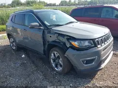 3C4NJDCB4LT196541 2020 JEEP COMPASS