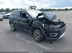 3C4NJDCB4LT233250 2020 JEEP COMPASS