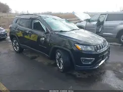 3C4NJDCB4MT589831 2021 JEEP COMPASS