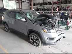 3C4NJDCB5LT155965 2020 JEEP COMPASS