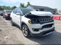 3C4NJDCB5LT256214 2020 JEEP COMPASS