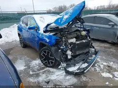 3C4NJDCB6HT646309 2017 JEEP COMPASS