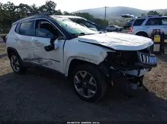 3C4NJDCB6KT843259 2019 JEEP COMPASS