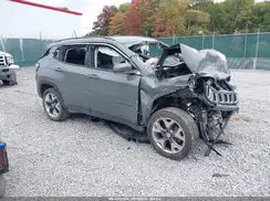 3C4NJDCB6LT111800 2020 JEEP COMPASS
