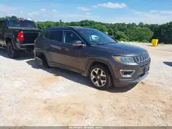 3C4NJDCB6LT163489 2020 JEEP COMPASS