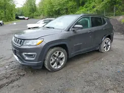 3C4NJDCB6LT236098 2020 JEEP COMPASS