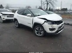 3C4NJDCB7LT164294 2020 JEEP COMPASS