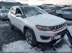 3C4NJDCB7LT221996 2020 JEEP COMPASS
