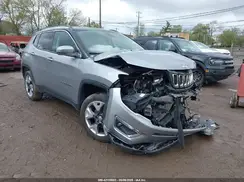 3C4NJDCB7LT233985 2020 JEEP COMPASS