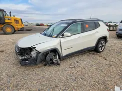 3C4NJDCB7MT549680 2021 JEEP COMPASS