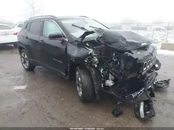 3C4NJDCB8JT456338 2018 JEEP COMPASS