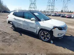 3C4NJDCB8KT674524 2019 JEEP COMPASS