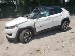 3C4NJDCB8KT842856 2019 JEEP COMPASS