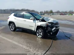 3C4NJDCB8LT101334 2020 JEEP COMPASS