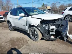3C4NJDCB8LT149965 2020 JEEP COMPASS
