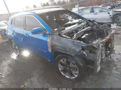 3C4NJDCB8LT167110 2020 JEEP COMPASS