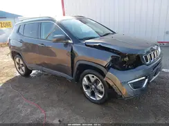 3C4NJDCB8LT200333 2020 JEEP COMPASS