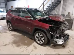 3C4NJDCB8LT216242 2020 JEEP COMPASS