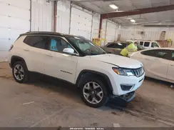 3C4NJDCB8LT216404 2020 JEEP COMPASS
