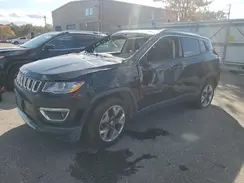 3C4NJDCB8LT223076 2020 JEEP COMPASS