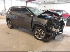 3C4NJDCB8LT238838 2020 JEEP COMPASS