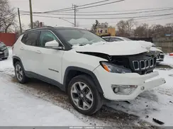 3C4NJDCB9KT755029 2019 JEEP COMPASS